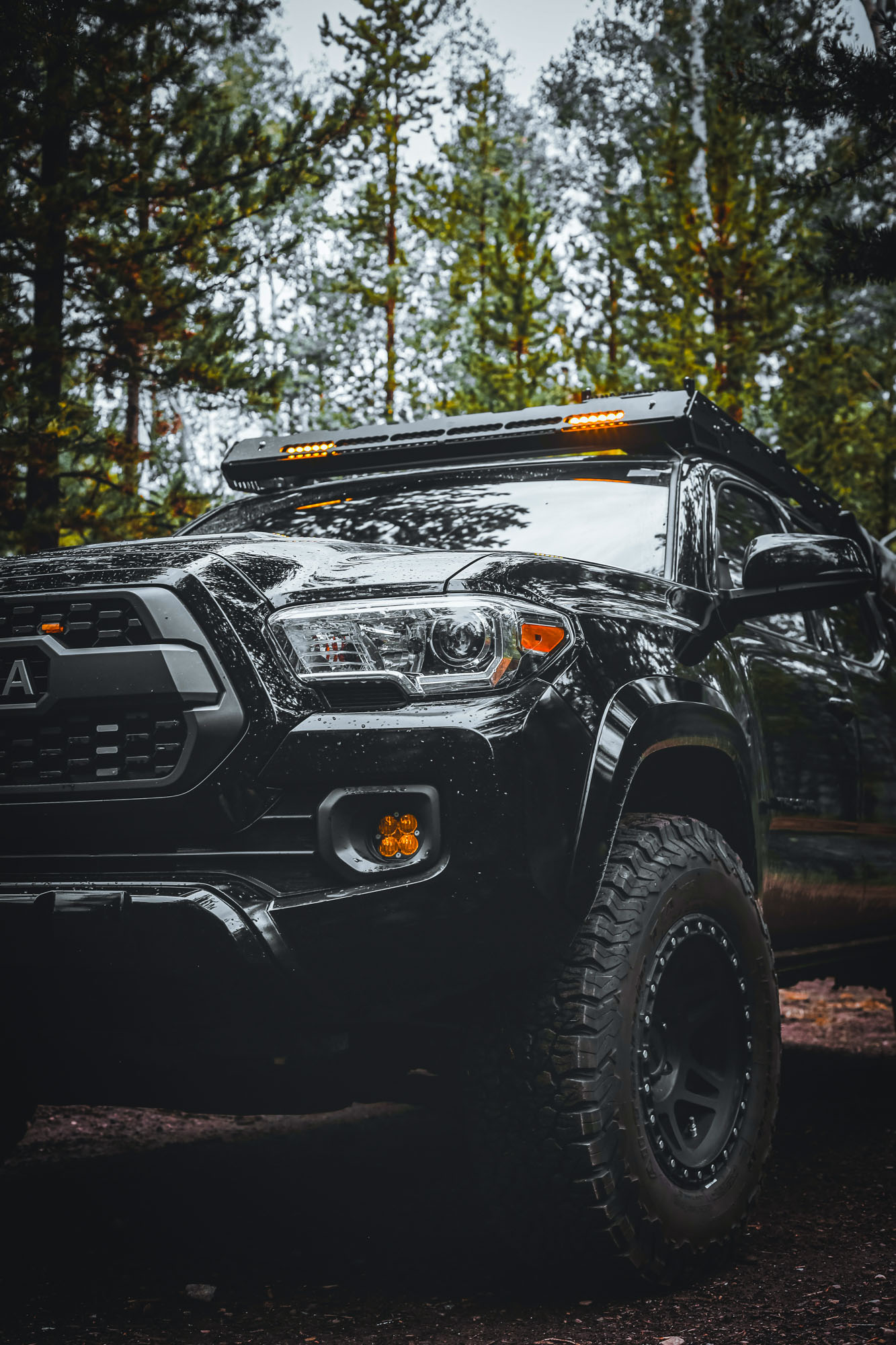 Tacoma Suspension Setup